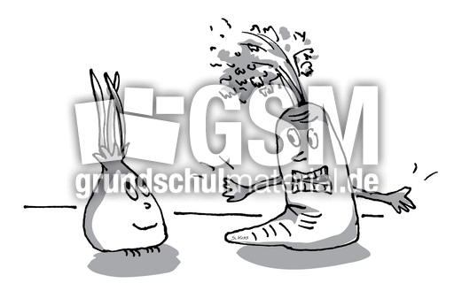 Karotte und Zwiebel 18.jpg